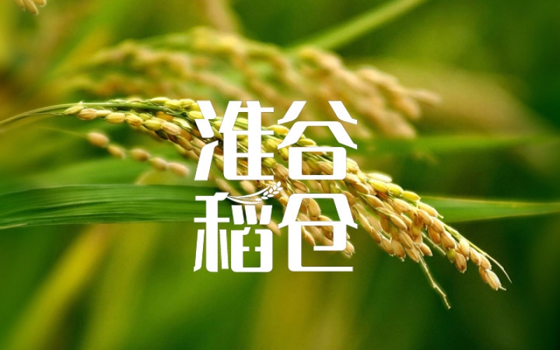 淮谷稻仓PIS设计